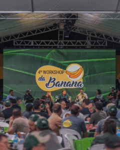 Estrutura de palco com som e iluminação para evento rural em bananal